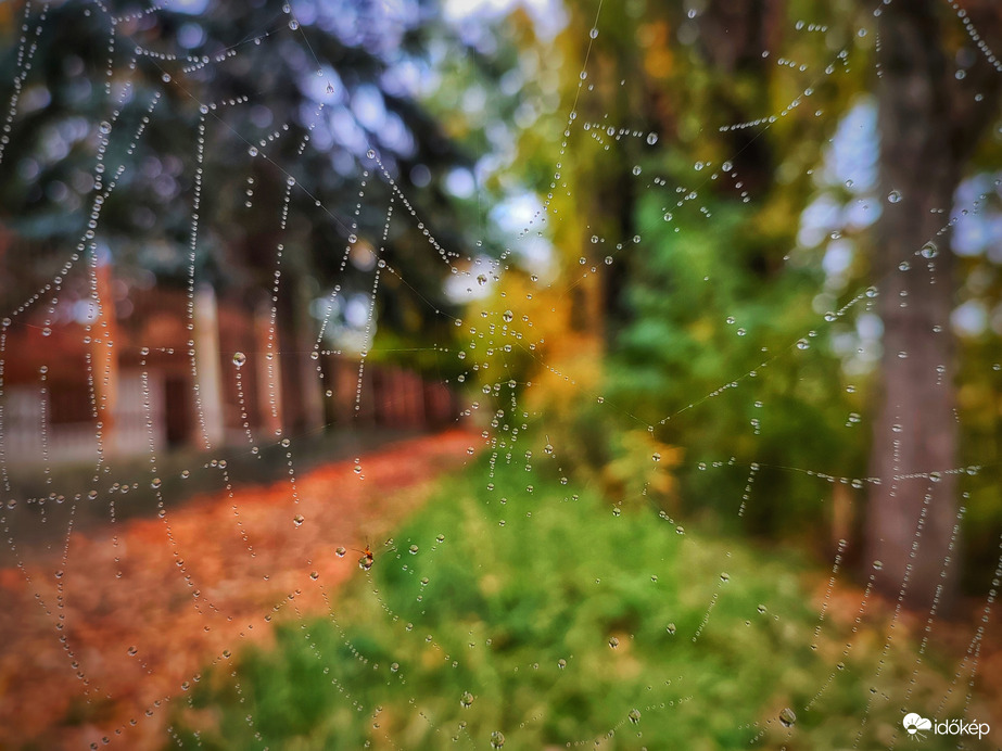 Gyöngyök és színek