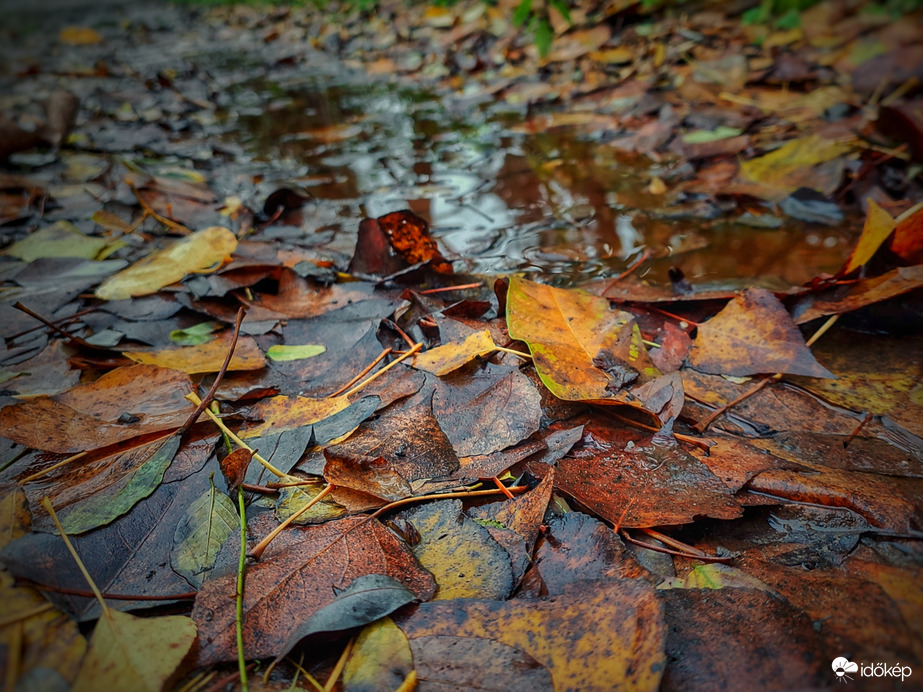 Novemberi eső után