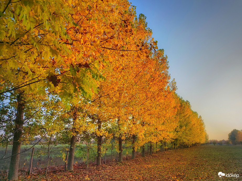 Ragyogás a köd után
