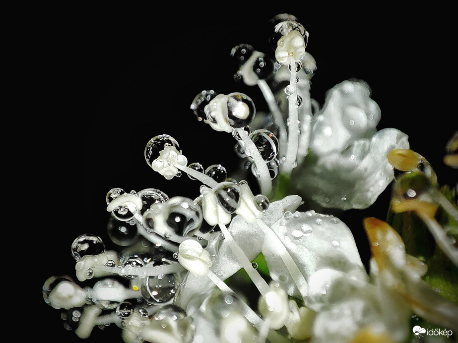 Az eső csak csendesen esik...