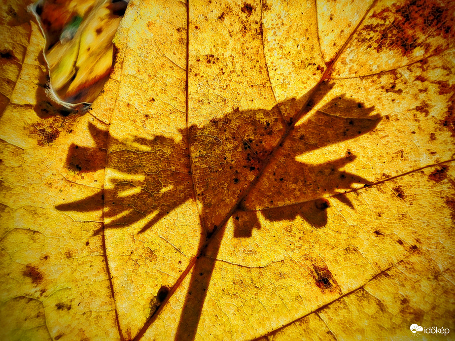 Árnyjáték makró szinten