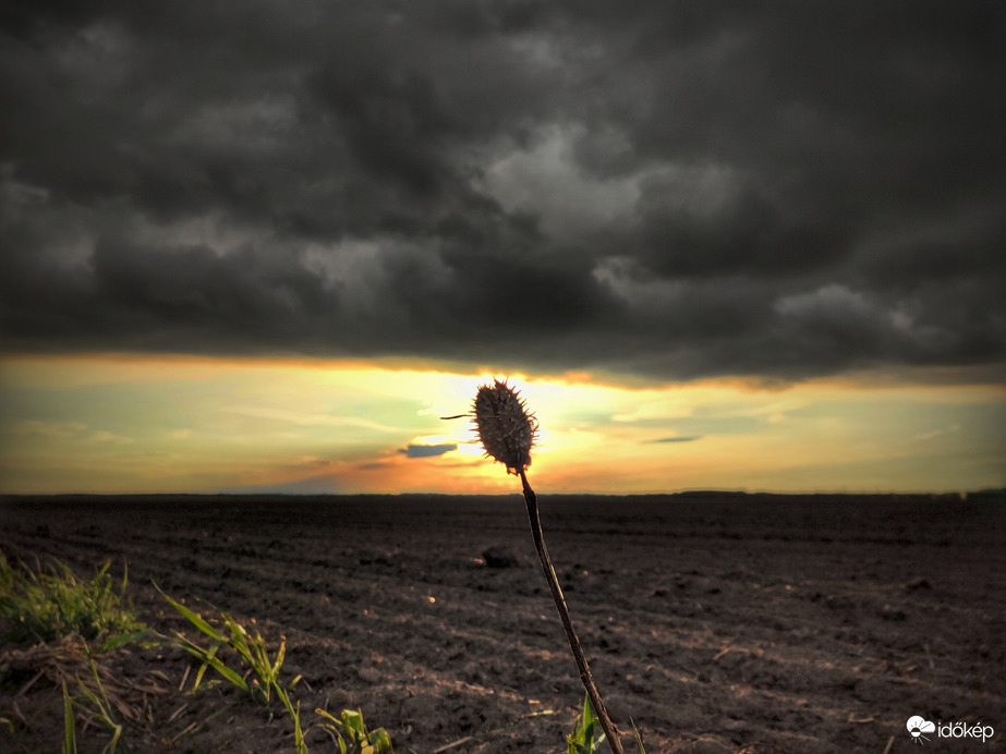 Gomolygási határvonal