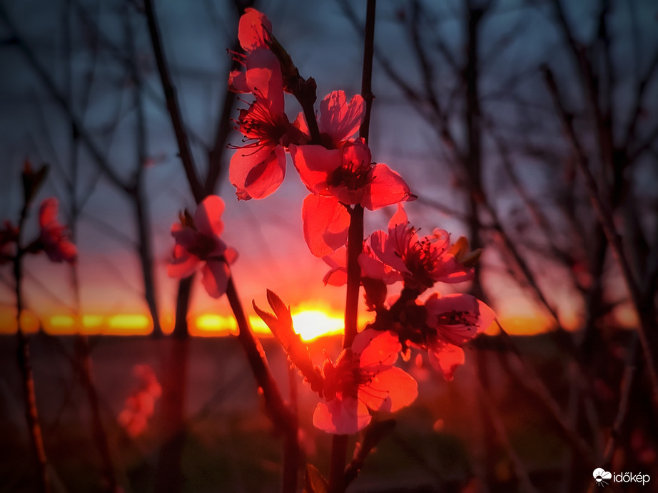 Fürdőzés az utolsó sugarakban