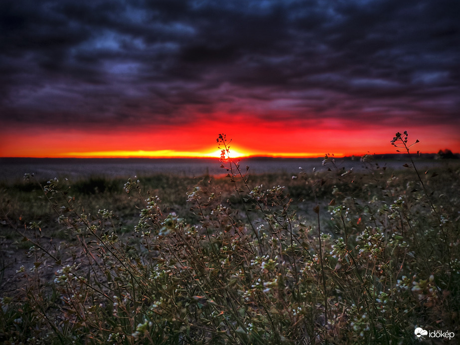 Napnyugtai ringatózó pásztortáskák