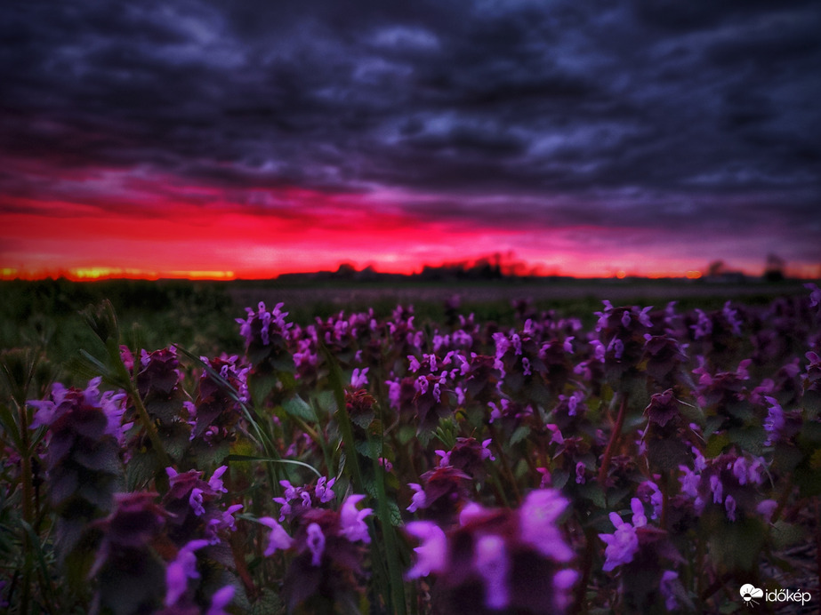 Szemrevaló színpaletta