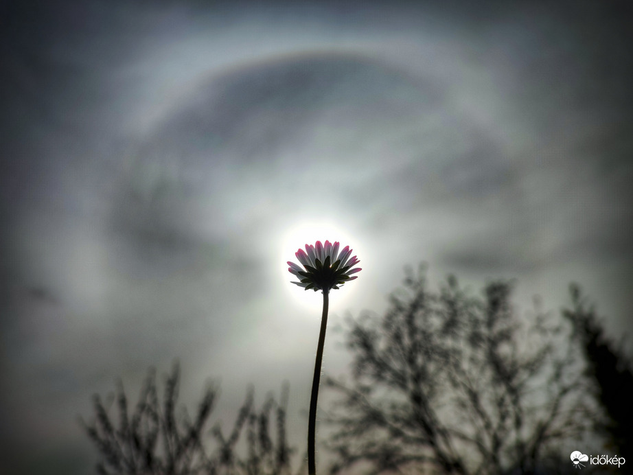 Keddi nap főszereplője