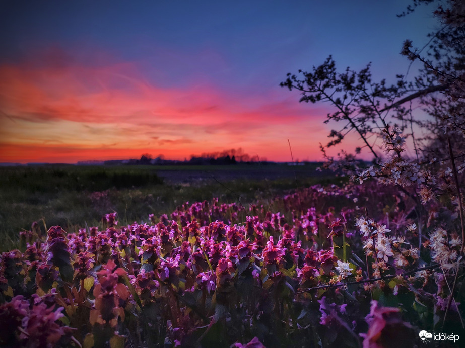 Képeslap a mai alkonyatról