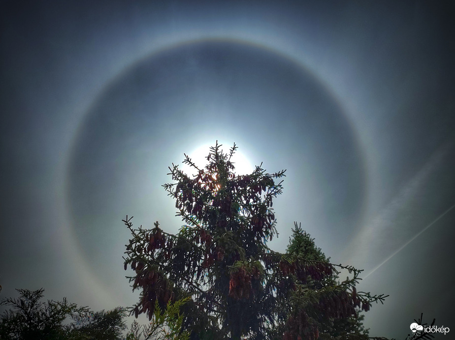 Fenyőfa csúcsdísze