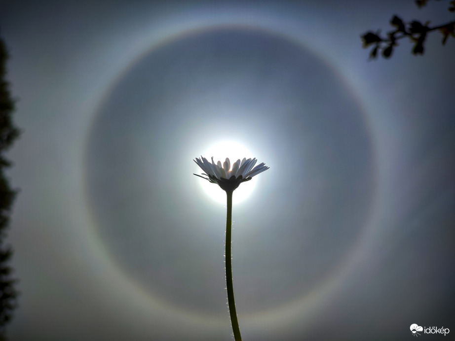 Csütörtök délelőtti halós varázs