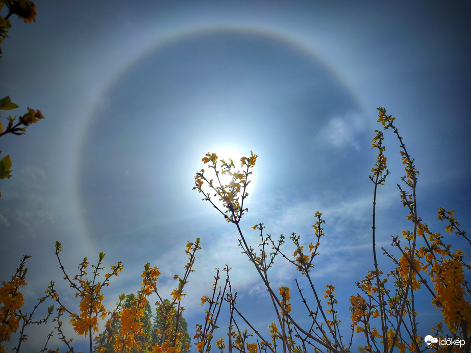 Aranyesős kiteljesedés