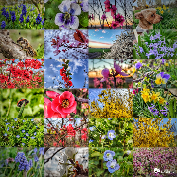 Kellemes Húsvéti Ünnepeket Kívánok Mindenkinek!