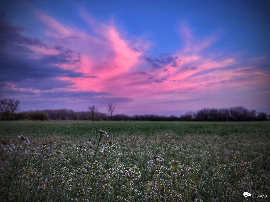 Szürkületi színvarázs