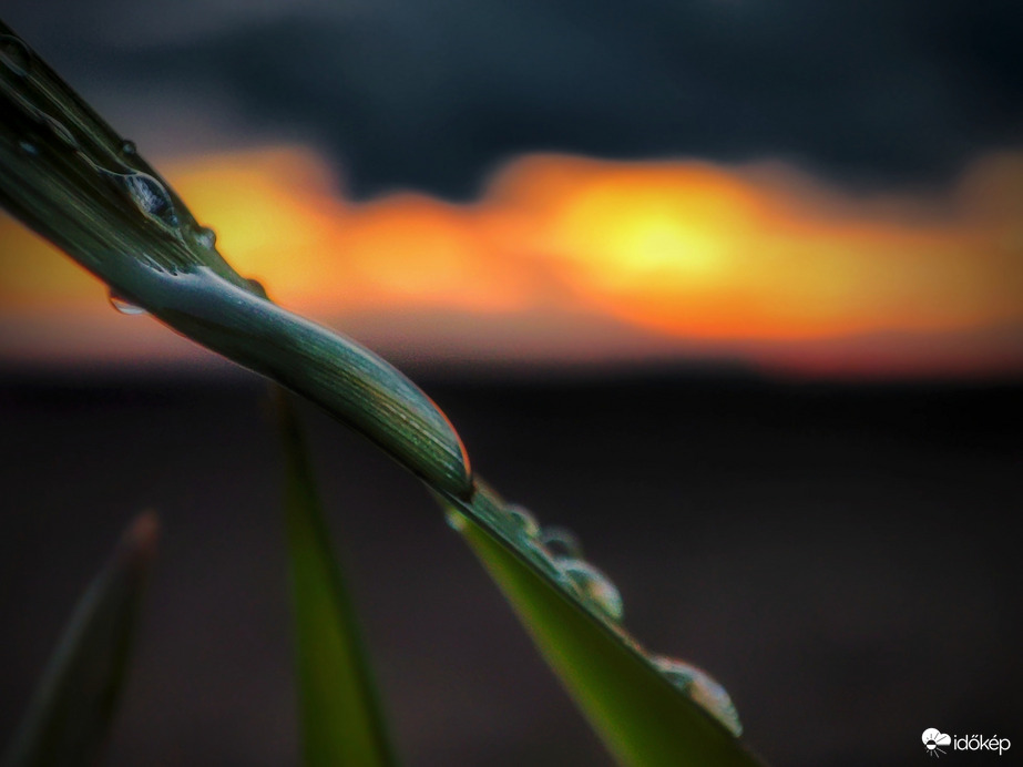 Gyenge eső naplementi nyomai
