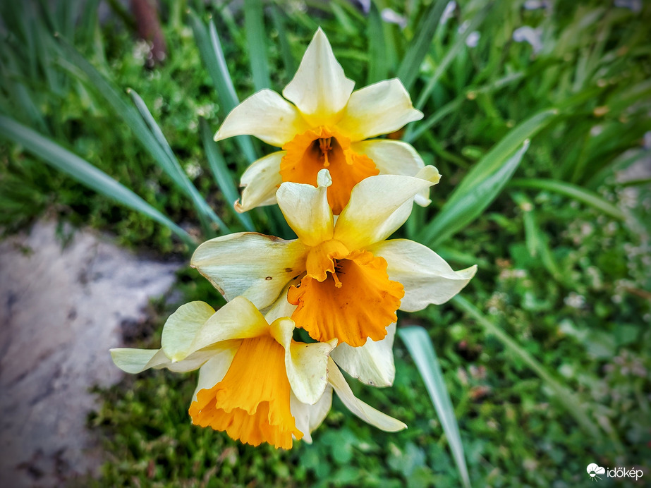 "Összetartunk, amíg élünk"