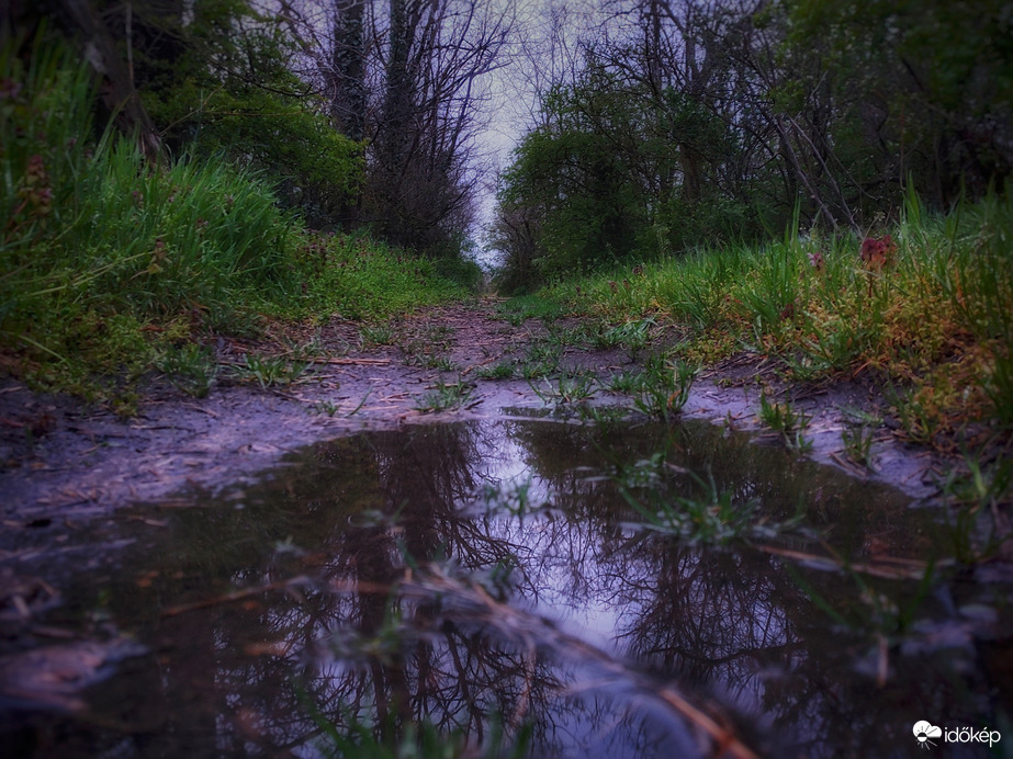 Eső utáni festmény