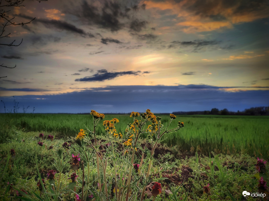 Napfénymentes naplemente