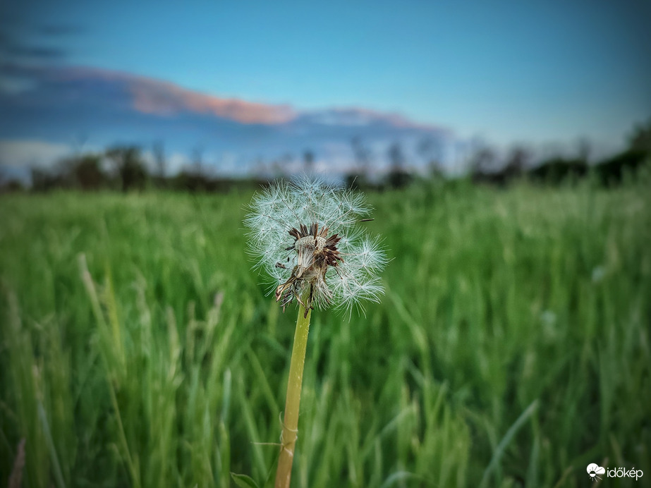 Fújdogálós nap végén