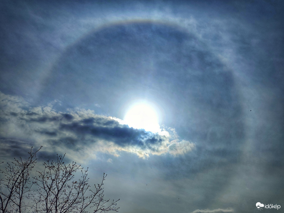 Kikandikáló naphaló