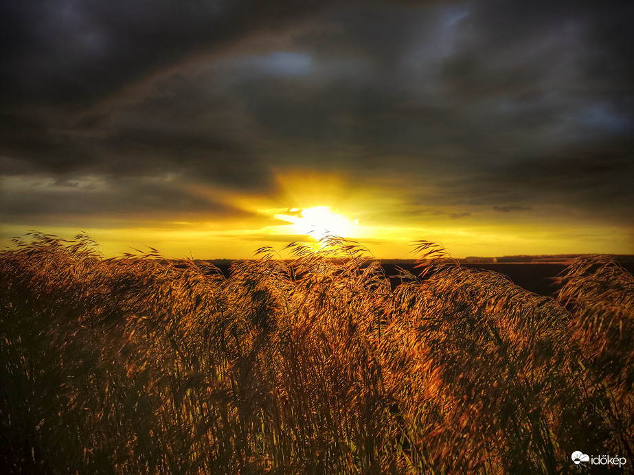 Aranyban fúj a szél