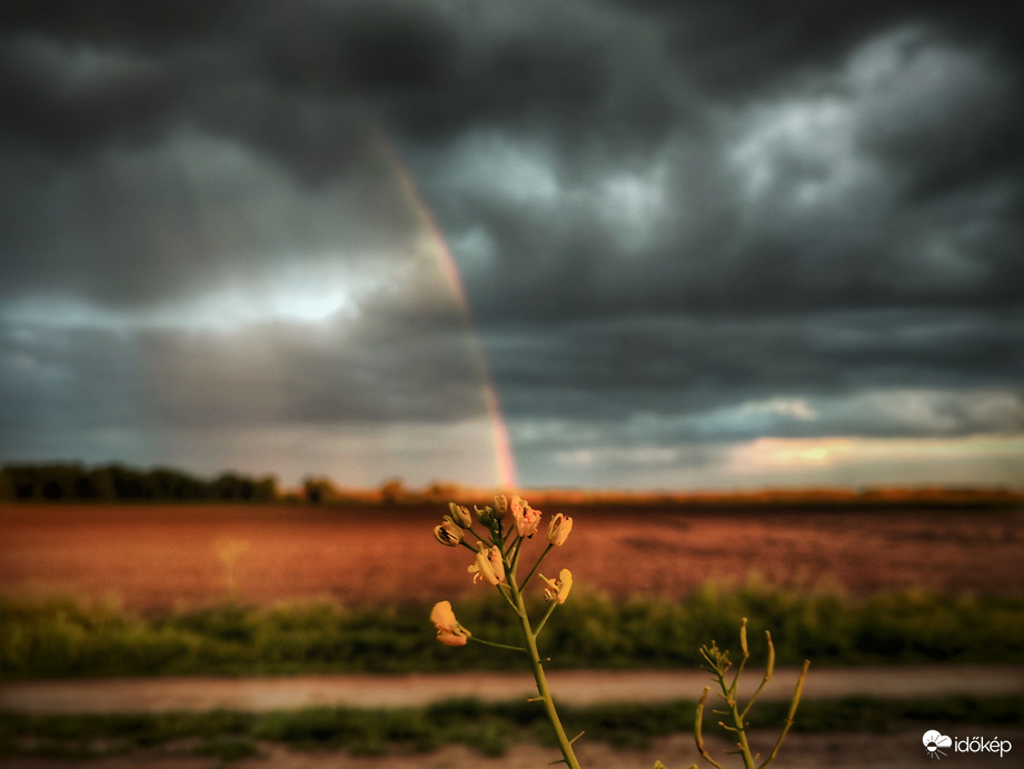 Feltűnt egy szivárvány