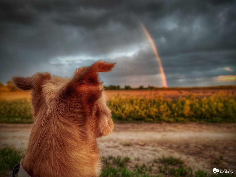 Tekintélyt parancsoló szivárvány
