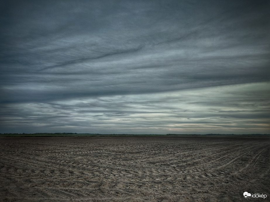 Minták égen és földön