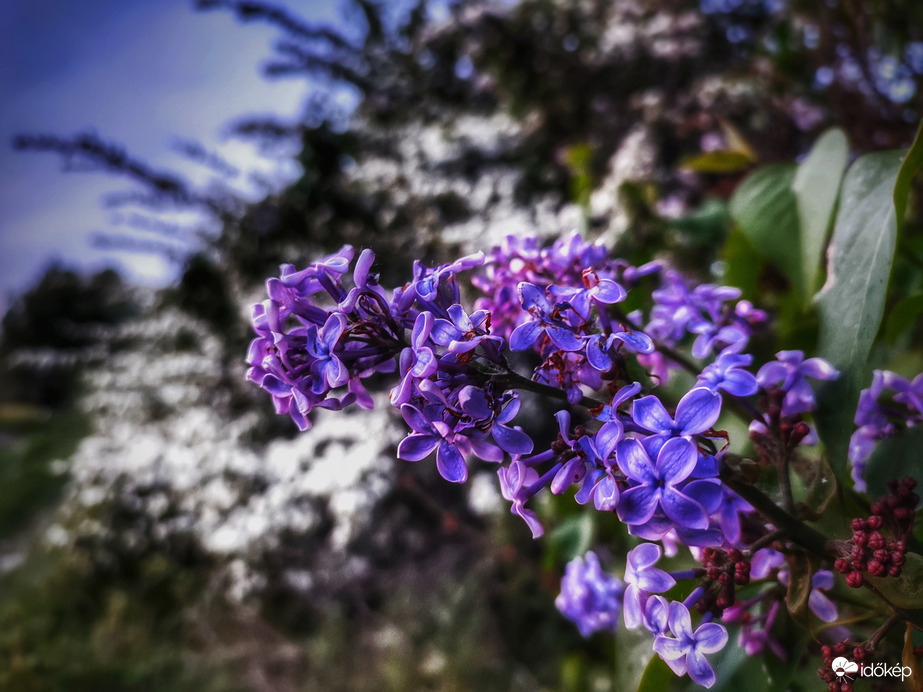 Elraktározott színek a borúsabb napokra