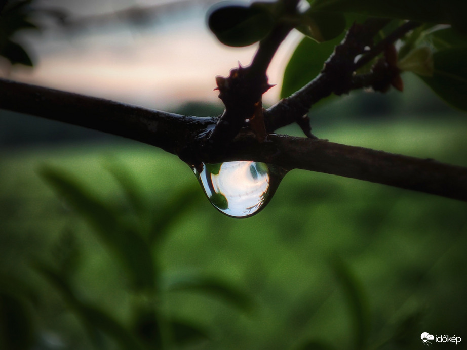 Az aranyat érő csepp