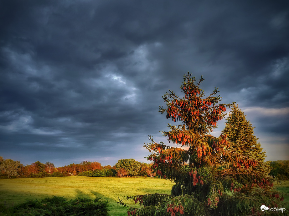 Esti kontrasztok csepergő esővel