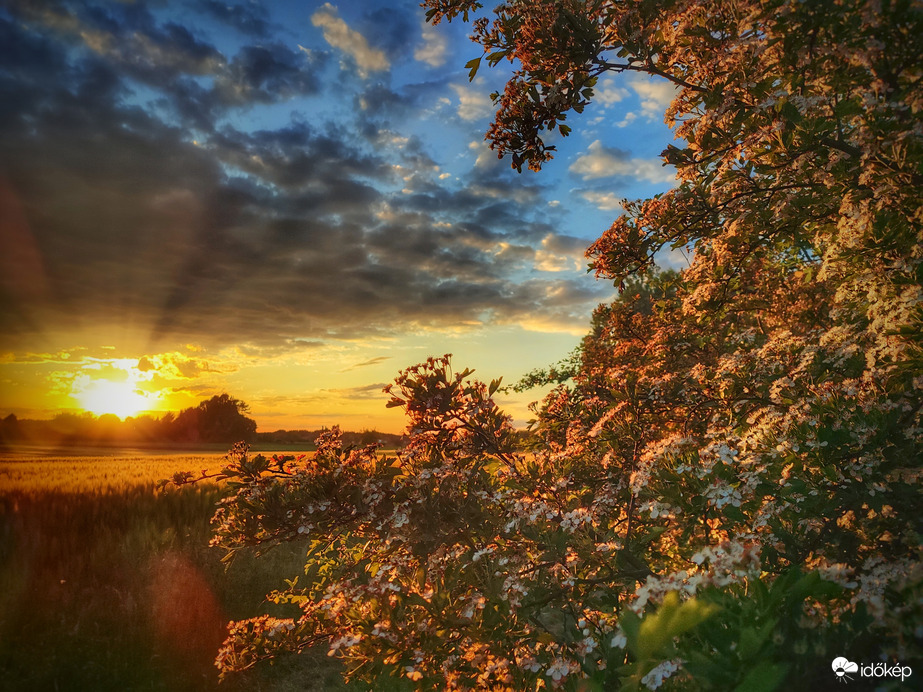Napfényben tündöklő határ