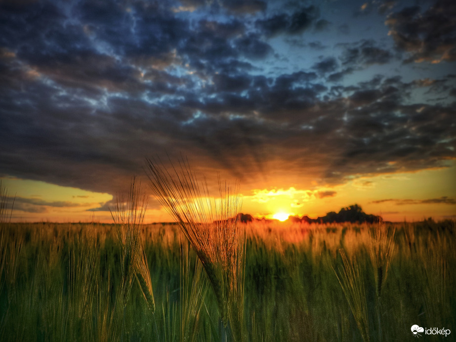 Mai nap utolsó sugaraiban fürdőzve