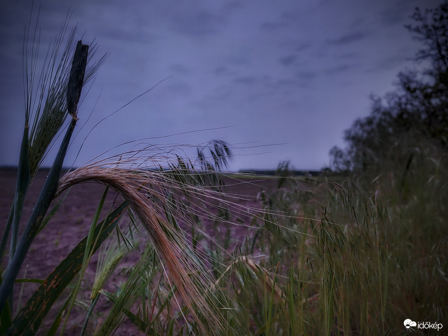 Kiadósabb májusi arany érkezése