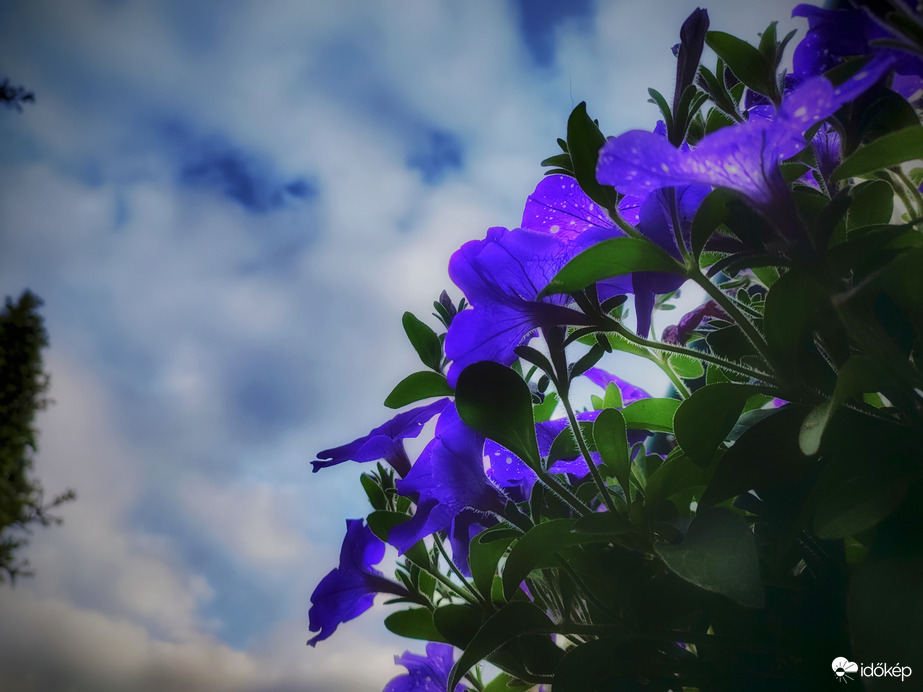 Előbukkant némi szín az égen is