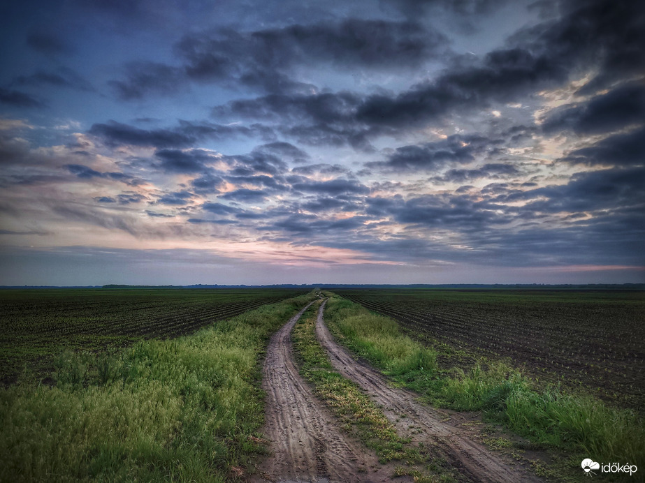 Felbuzdult szántó a májusi arany első etapja után