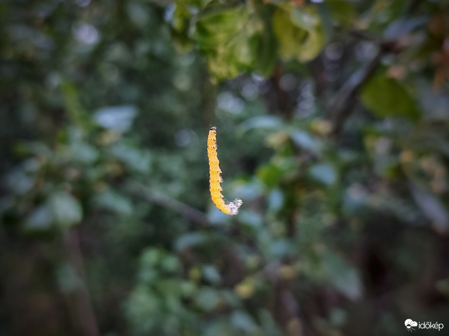 "Jól horogra akadtam!"