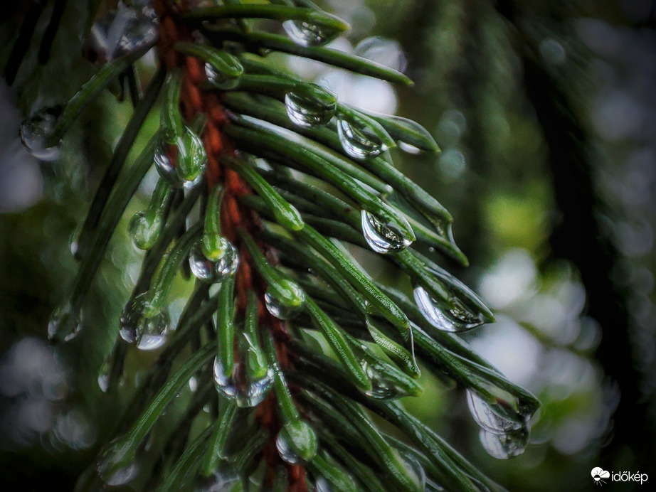 Sorakozó cseppek a ciklon után