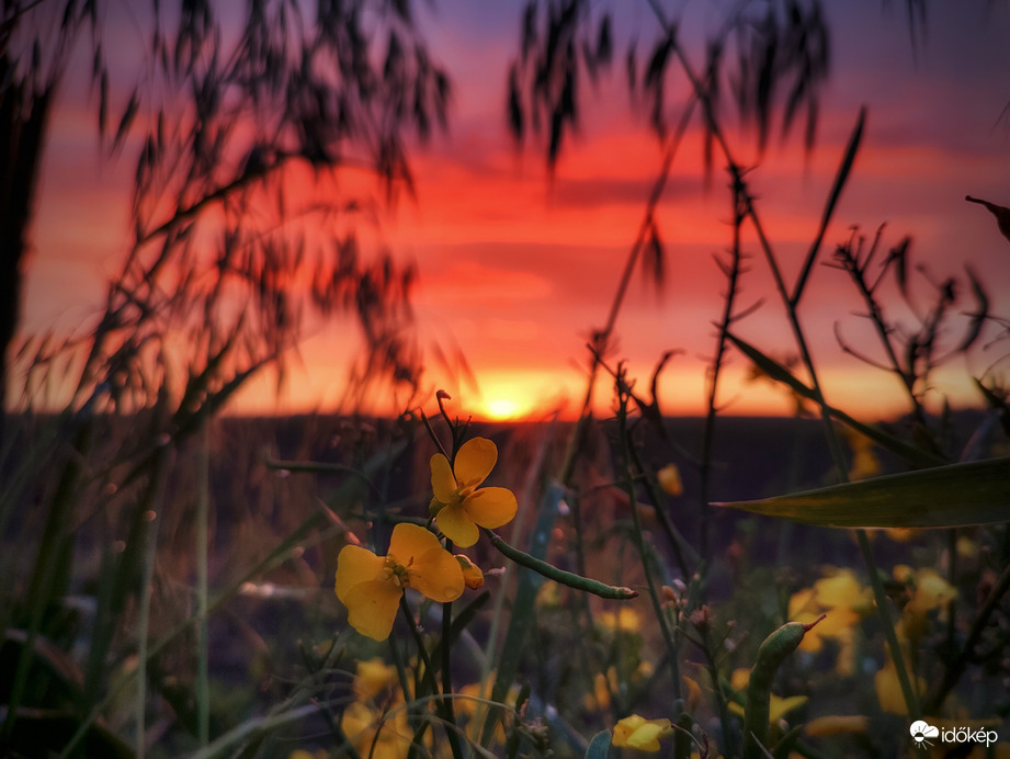 Hangulatos tüzesség