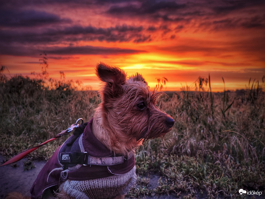 Mazsola mögött fellobbant az ég