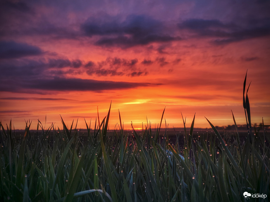 Alkonyat cseppek garmadájával