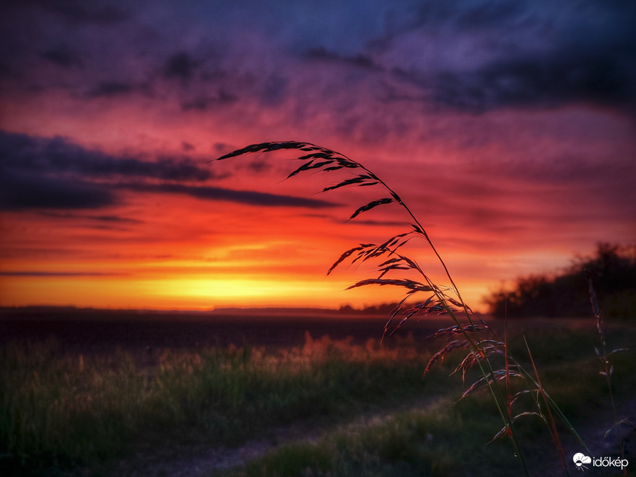 Szélcsendes alkonyat