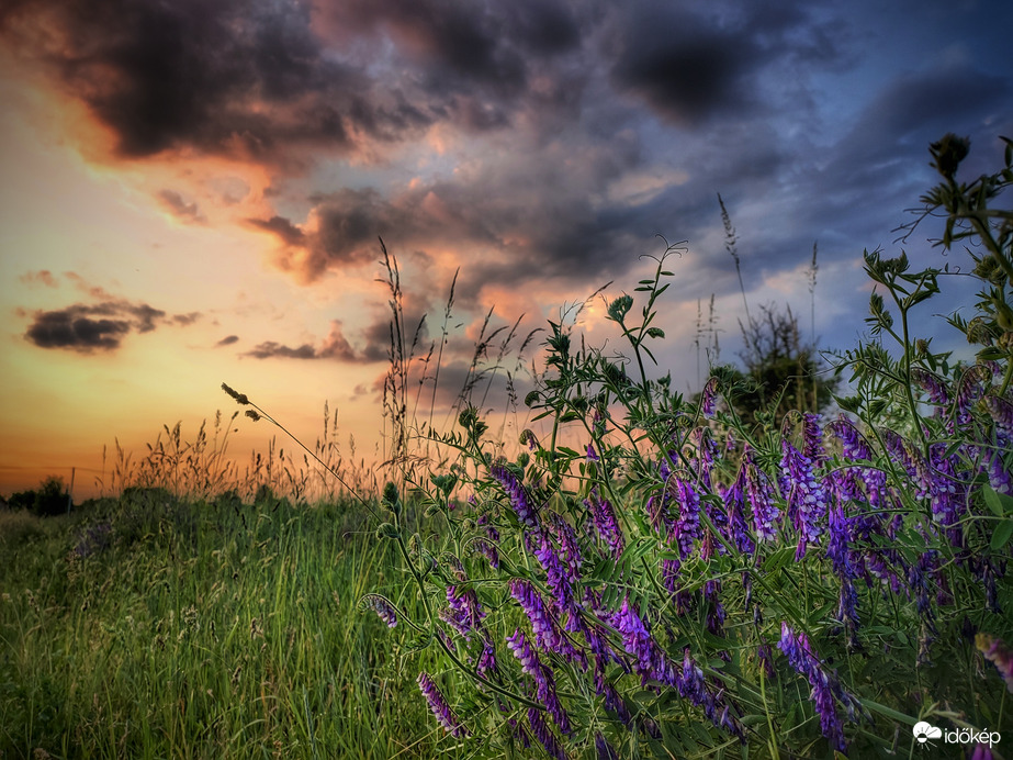 Nyári színösszeállítás