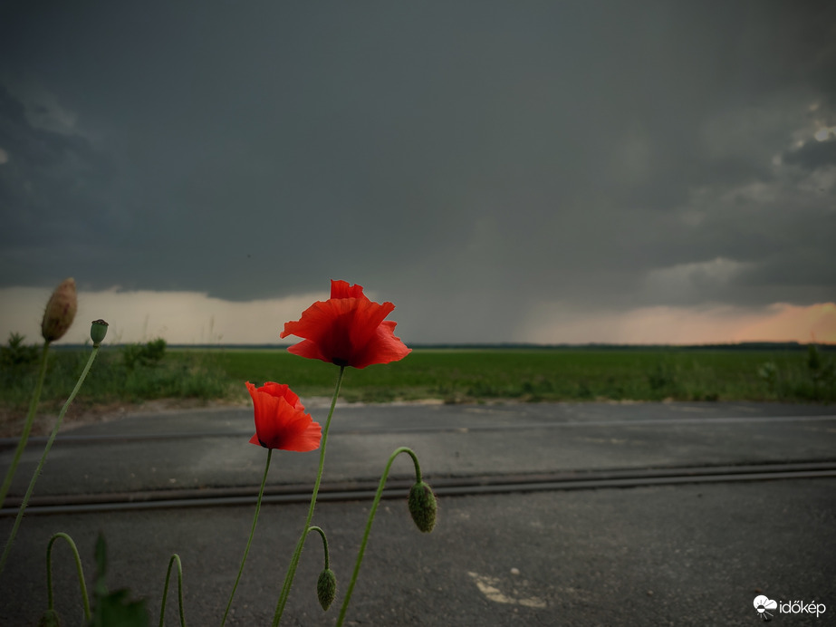 Kifejlődő szupercella