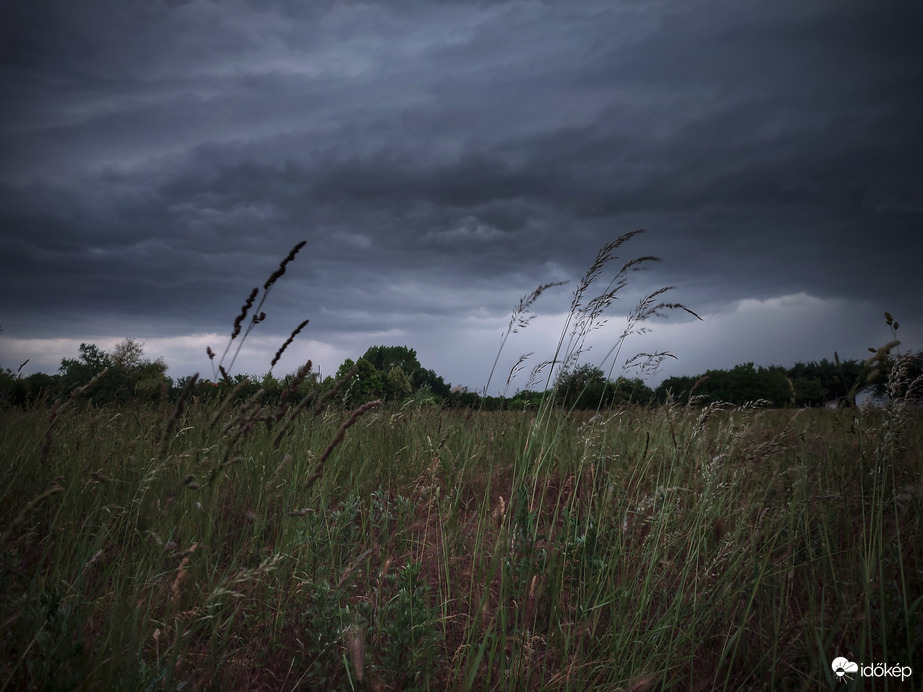 Pillanatkép még az első hullám érkezése előtt