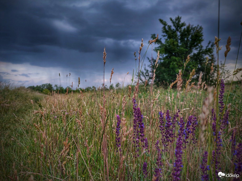 Esti zivatar közeledte