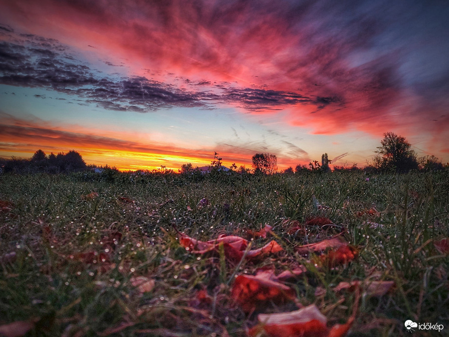 Színes reggel a harmatos tájjal és őszi falevelekkel