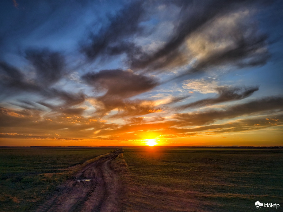 Medúzák naplementéje