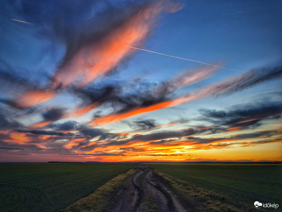 Égi medúzák egy januári alkonyatban