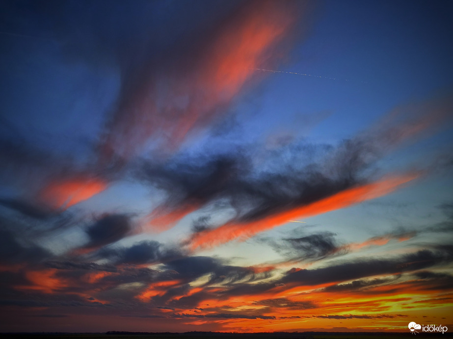 Felemás medúzák búcsúztatták a napot