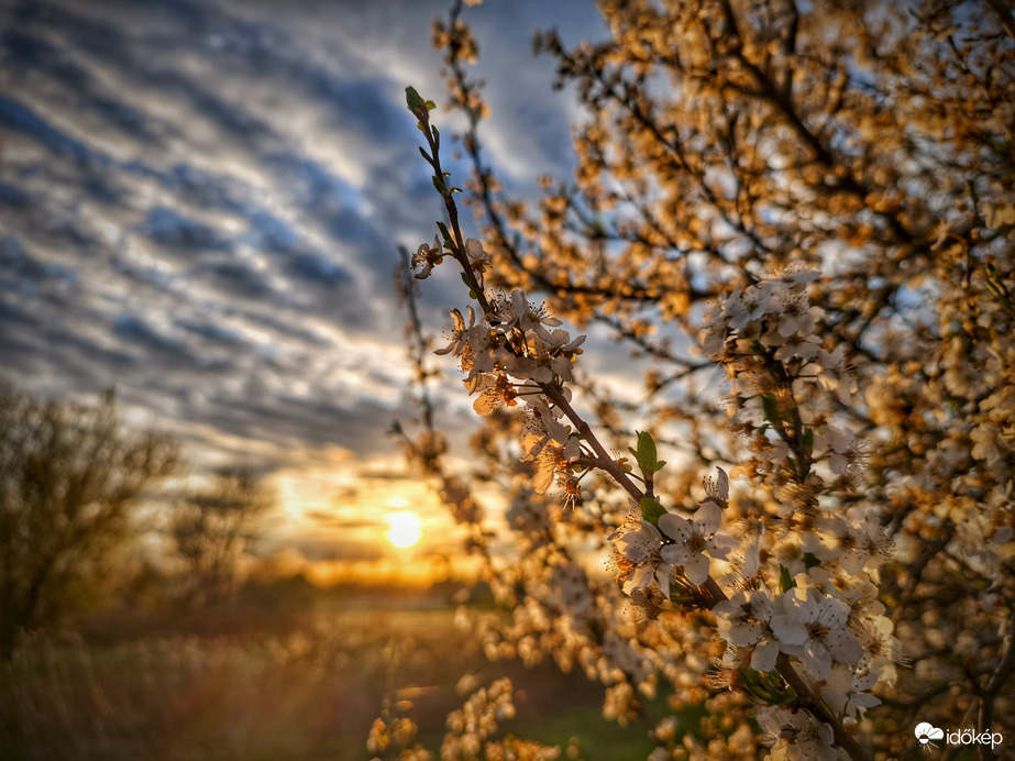 Áprilisi tüzes álom kezdetén