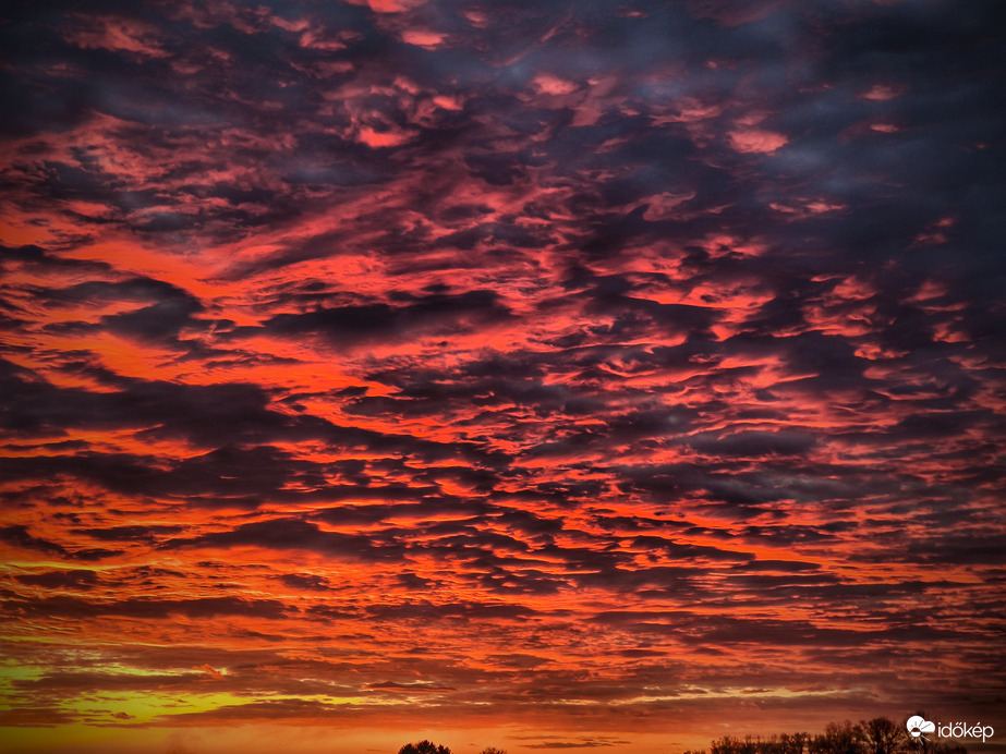 Minden részletre fény derült